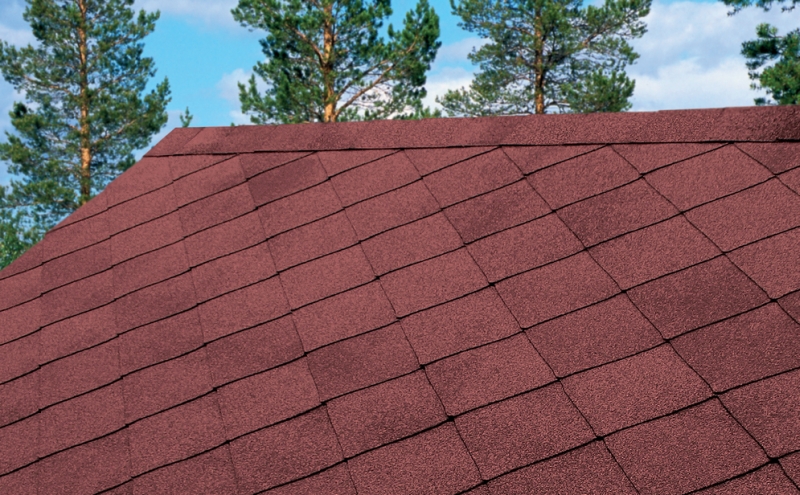 катепал фокси